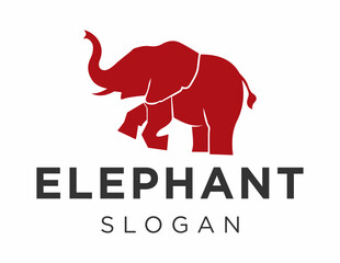 The logo design is about Elephan and was created using the Corel Draw 2018 application with a white background.