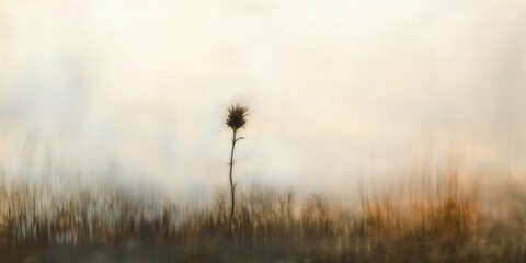 Small tree is standing in a field of tall grass