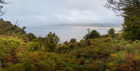 The rugged coast and beaches of the Abel Tasman Park in New Zealand