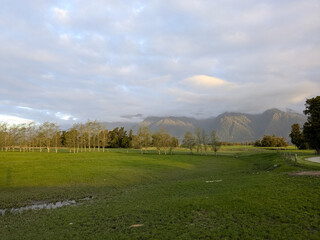 Panorama of a dairy farm with the peaks of the Southern Alps near Franz Joseph New Zealand in...