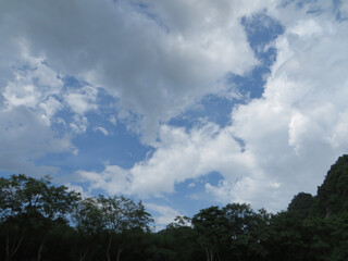 Obraz premium Lush Greenery Meets Expansive Blue: A Perfect Contrast in Nature in Phong Nha, Quang Binh, Vietnam