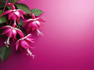 Fototapeta premium Minimalistic white background with pink fuchsia flowers bordering the right side flat lay top view