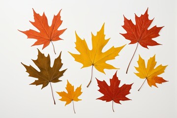 Fototapeta premium arafed image of a group of different colored leaves