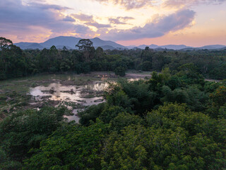Tropical rainforest green tree mountain sunset colorful sky