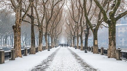 Snow-covered pathway lined with bare trees in winter.