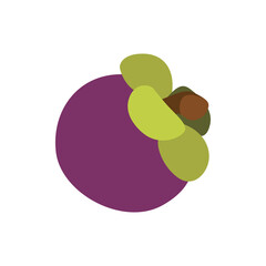 Exotic Mangosteen Fruit, Fresh Tropical Delight