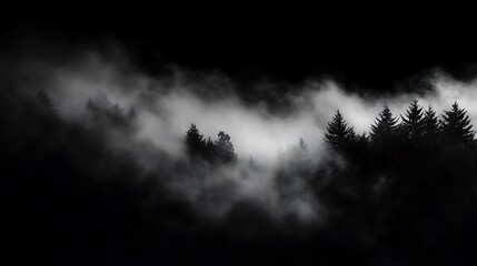 Fototapeta premium Wispy fog details blending seamlessly into a black blank background