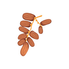 Vector Illustration of Dates Fruit for Ramadan