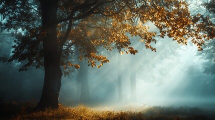 Airy fog effects adding depth to a shadowy textured background