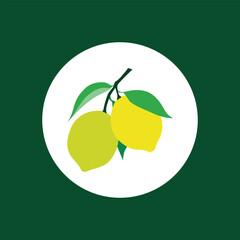 Lemon Icon Vector for Fresh Citrus Design Elements