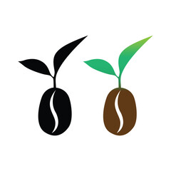 Lush Coffee Plantation Under the Bright Tropical Sun