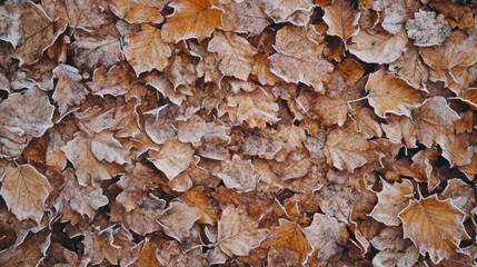 Frost-covered brown autumn leaves ground texture.