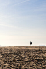 Panorama of beach in Jalisco, Mexico with a person walking on the dunes of the beach, the person may be a traveler because he carries a large backpack and the tennis shoes tied to the backpack