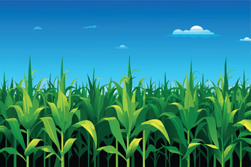 A vibrant green cornfield with tall, healthy corn stalks reaching towards the sky under a clear, bright blue sky.