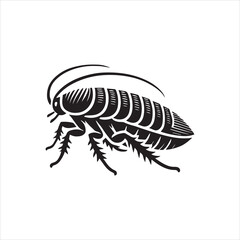 illustration of a beetle