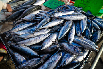 Tuna seafood fish sell in local fishery market