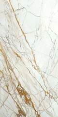Premium Marble Background Featuring White and Gold Veining Patterns
