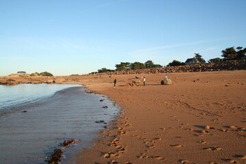 beach at sunset