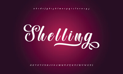 Hand drawn vector alphabet. Modern monoline signature script font. Elegant Signature Font. Best Alphabet Beautiful Calligraphy Signature Font lettering