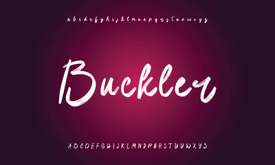 Hand drawn vector alphabet. Modern monoline signature script font. Elegant Signature Font. Best Alphabet Beautiful Calligraphy Signature Font lettering