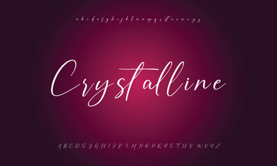 Hand drawn vector alphabet. Modern monoline signature script font. Elegant Signature Font. Best Alphabet Beautiful Calligraphy Signature Font lettering