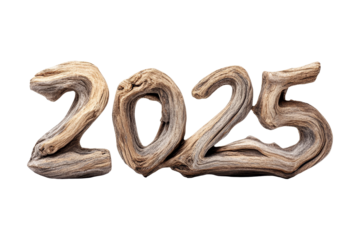 Natural driftwood numbers 2025 isolated art piece