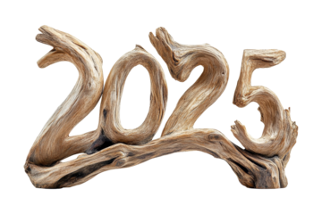 Natural driftwood sculpture 2025 home decor rustic