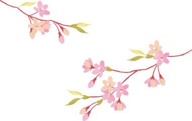桜の枝のイラスト