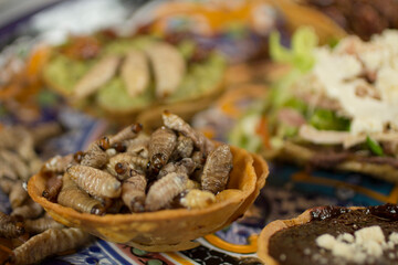 Crispy maguey worms served on a fried corn tortilla bowl, beautifully presented on a vibrant Talavera plate, showcasing authentic Mexican delicacies.
