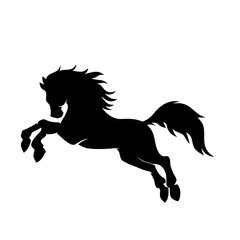 Horse Silhouette Illustration