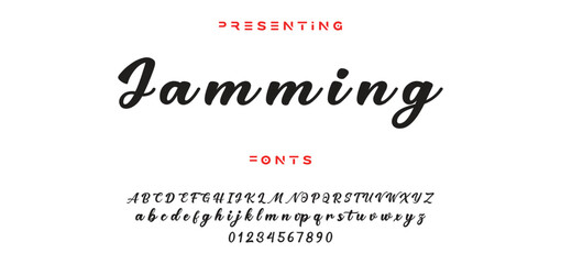 signature Font Calligraphy Logotype Script Brush Font Type Font lettering handwritten