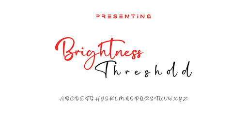 signature Font Calligraphy Logotype Script Brush Font Type Font lettering handwritten