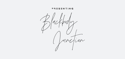 signature Font Calligraphy Logotype Script Brush Font Type Font lettering handwritten