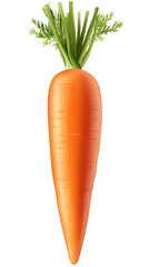 Fresh Organic Carrots with Green Leaves - Vibrant and Healthy Produce