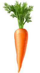 Fresh Organic Carrots with Green Leaves - Vibrant and Healthy Produce
