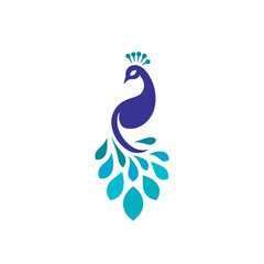 peacock logo design vector, minimalist peacock logo