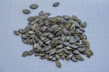 A pile of pumpkin seeds on a millimeter background for a seed-size view. Gymnosperm pumpkin seeds
