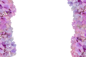 Purple flower frame isolated