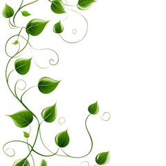 Green plant background