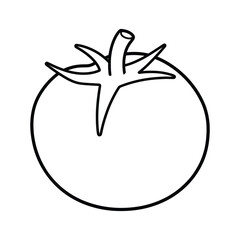 tomato icon, outline, silhouette, vector, illustration, isolated on white background