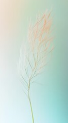 Obraz premium Delicate pastel-toned grass stem against a soft, blurred background.