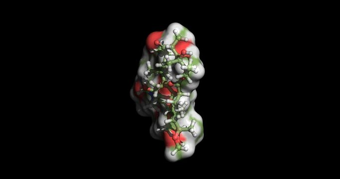  Clarithromycin, broad‑spectrum macrolide antibiotic, 3D molecule spinning, 4K