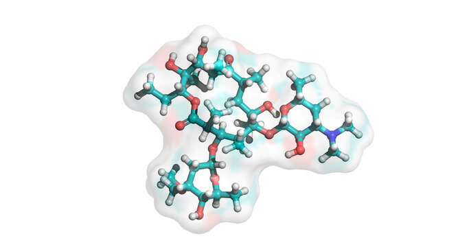Erythromycin, broad‑spectrum macrolide antibiotic, 3D molecule, 4K