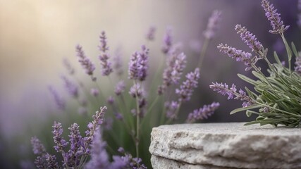 Obraz premium Minimalistic Pastel Lavender Podium with Purple Flowers on Rustic Stone.