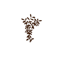  isolated with the leaf design set © Chowa
