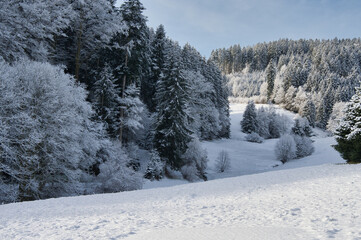 Winterwonderland im Schwarzwald bei Biederbach