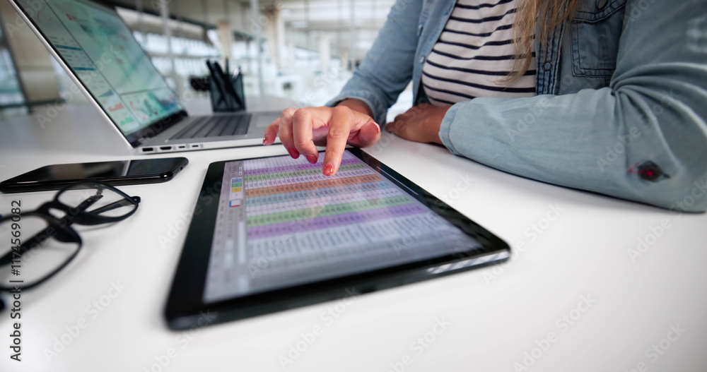 Poster Electronic Spreadsheet Analyst Or Auditor Using Software