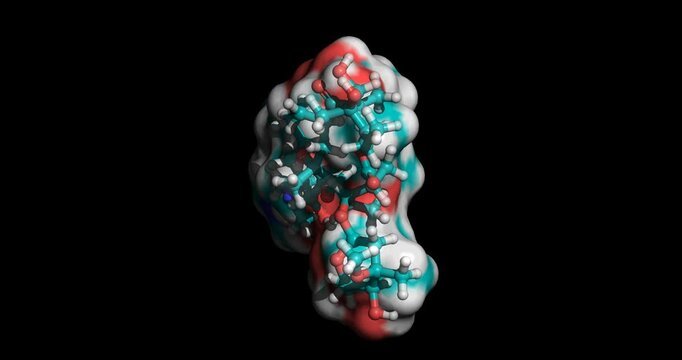 Erythromycin, broad‑spectrum macrolide antibiotic, 3D molecule spinning, 4K