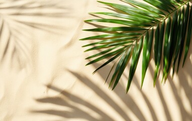 Obraz premium Abstract background with shadow of palm leaf on beige sand stone texture