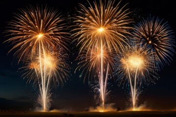 Spectacular fireworks display night sky.
